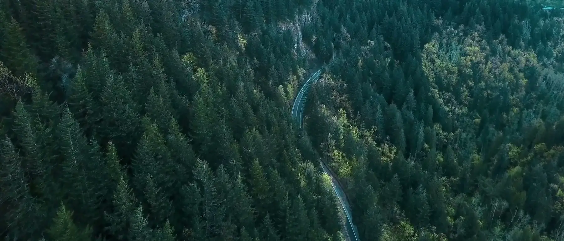 Passstraße durch bewaldete Berge